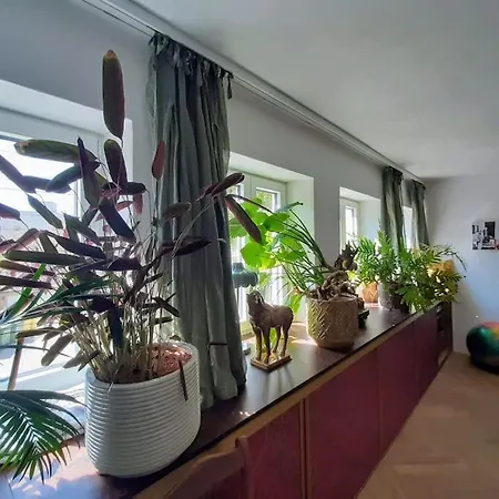 Gartenwohnung דירה