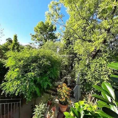 Gartenwohnung Διαμέρισμα *